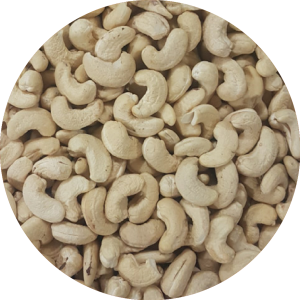 GOA CASHEW PNG-01