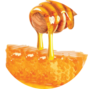 Ramban Sulai Honey-04